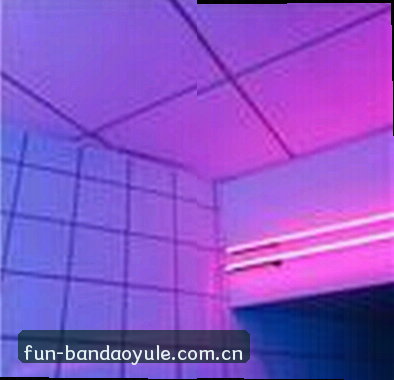 刘姐